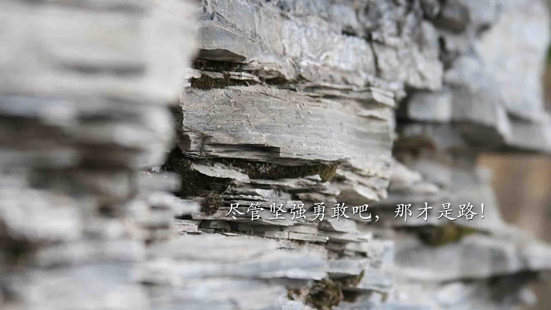 楚阿梅尼爆发！委内瑞拉火力如何压制欧洲巨人巴萨？