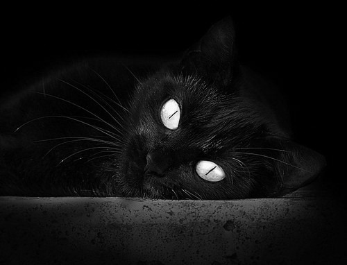 马克西火药桶轰然引爆！奇才掘金之旅提前收工