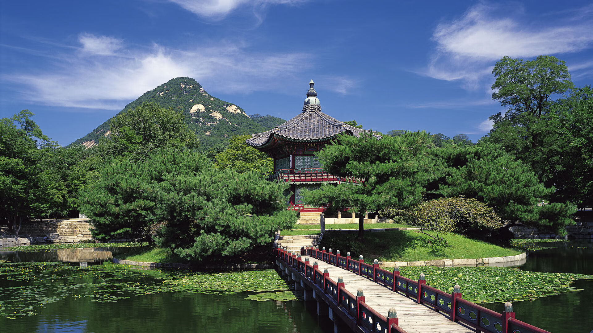 生死对决，尼克斯血拼开拓者，季后赛抢七焦点战全解析