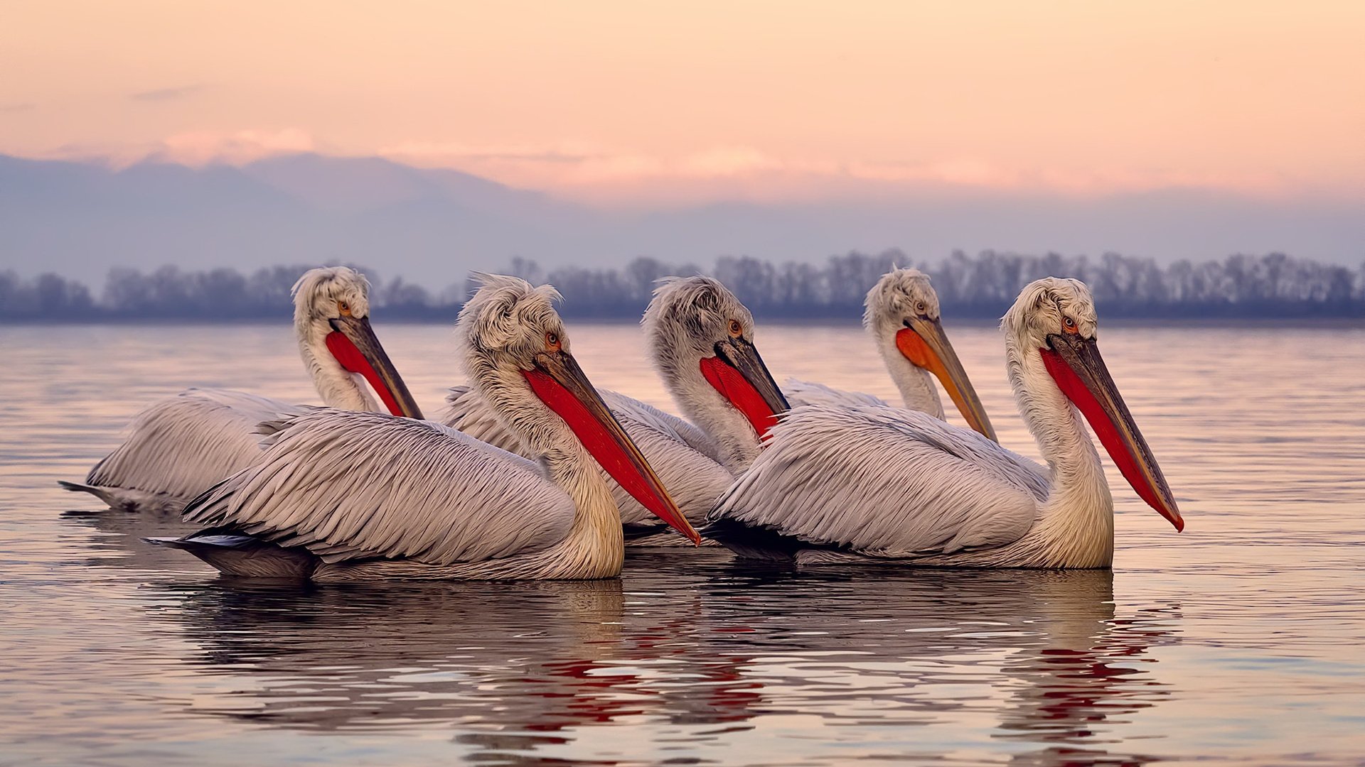 法比尼奥横空出世,英格兰轻松晋级