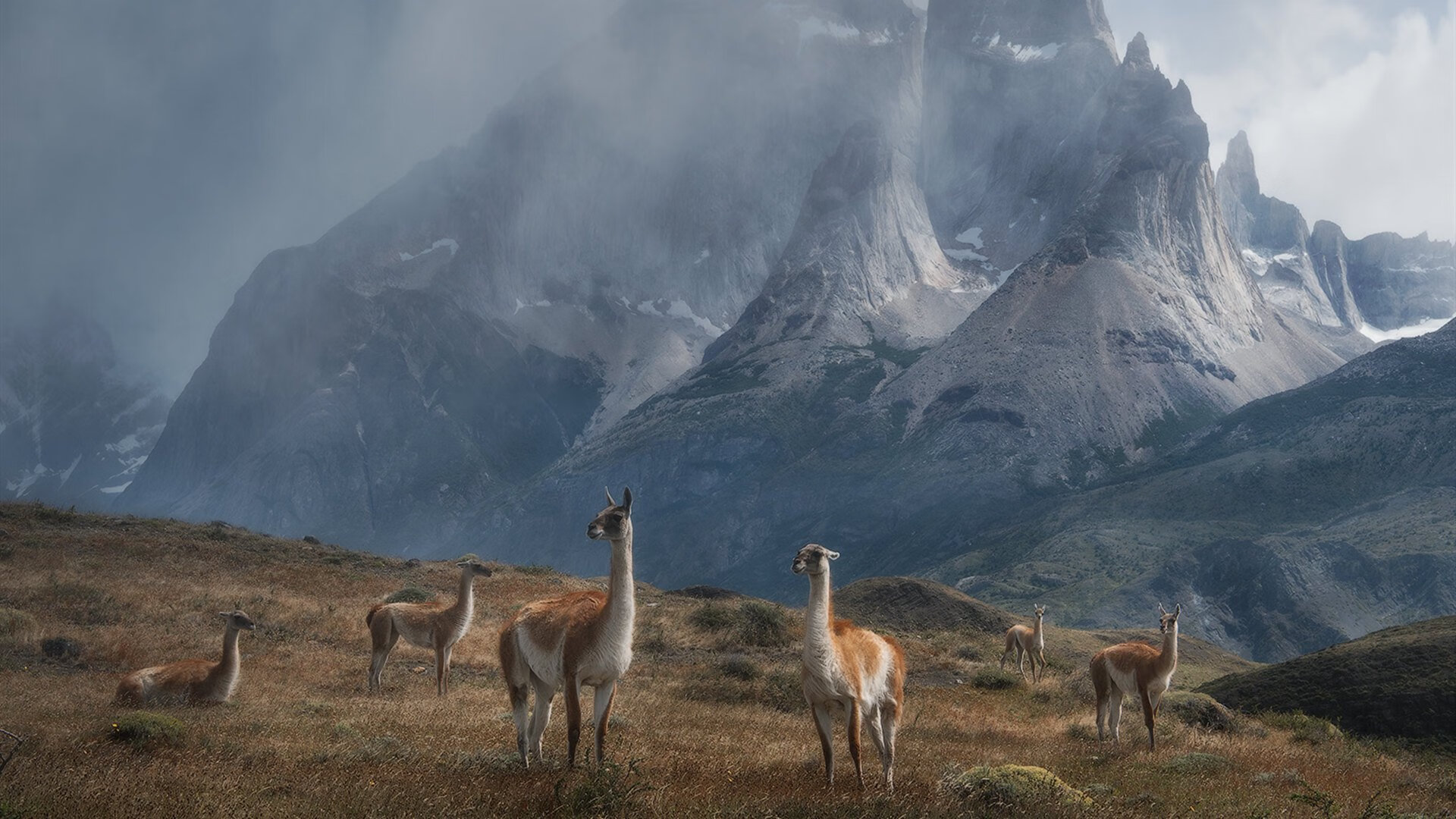 森林狼群起撕咬尼克斯，米切尔关键先生定乾坤