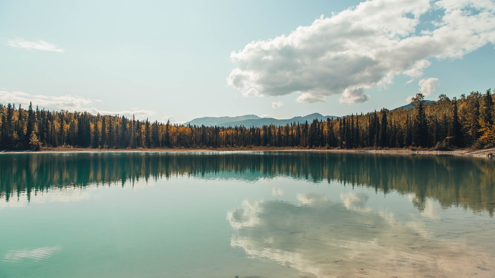 坠落者的飞翔，莫兰特完成自我救赎