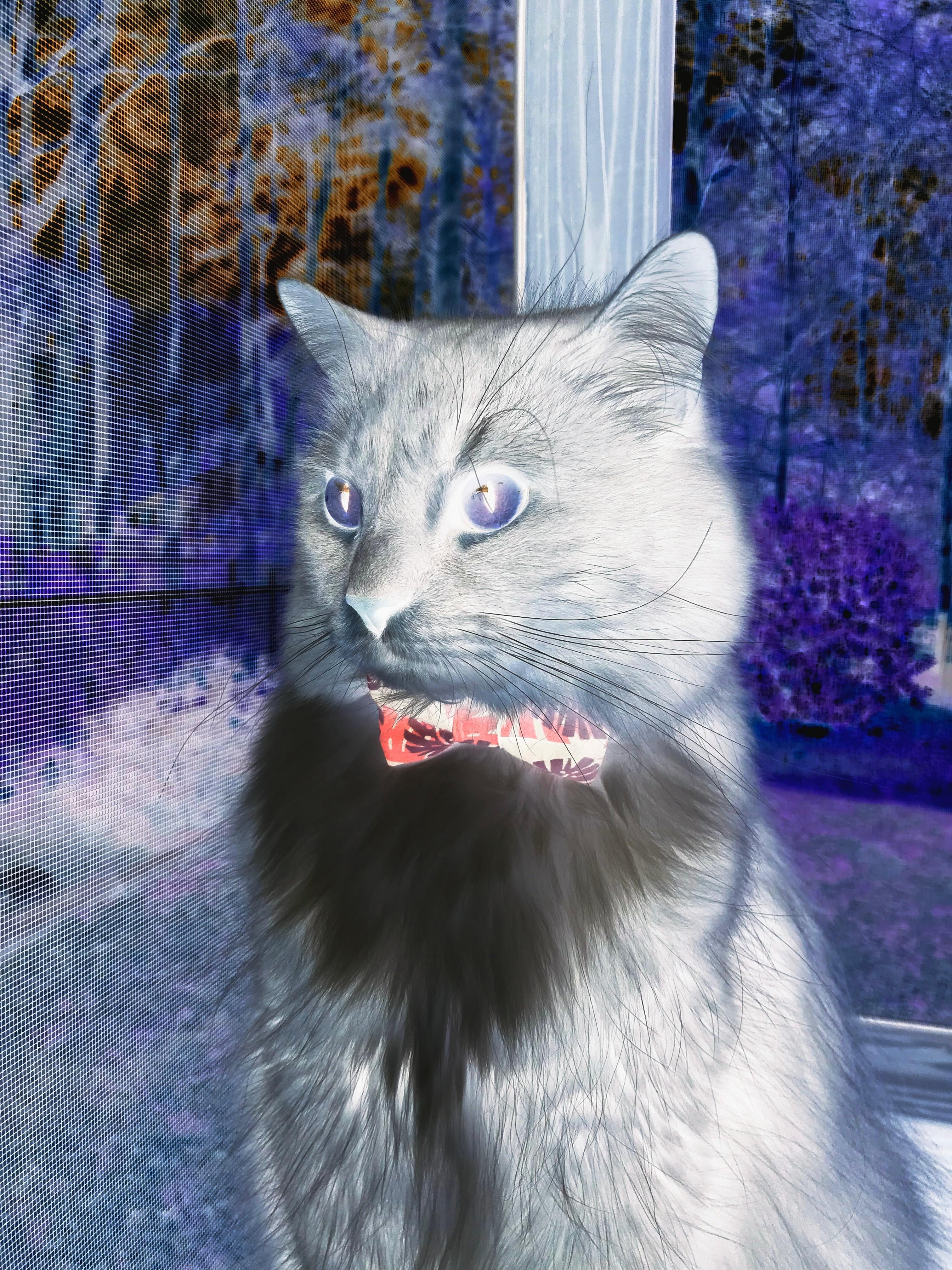 教科书级表现！楚阿梅尼掌控中场，德国强势终结南非晋级希望