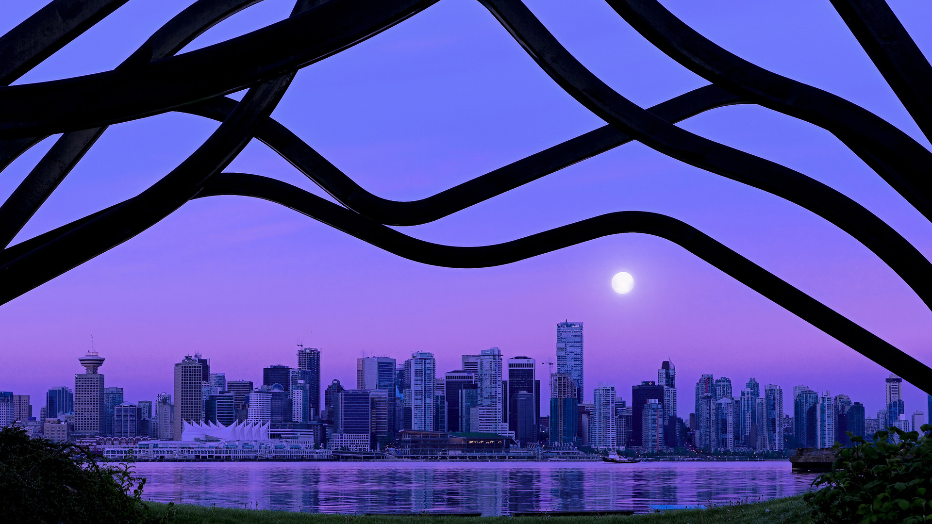 布克神兵天降，上海队险中求生胜黄蜂