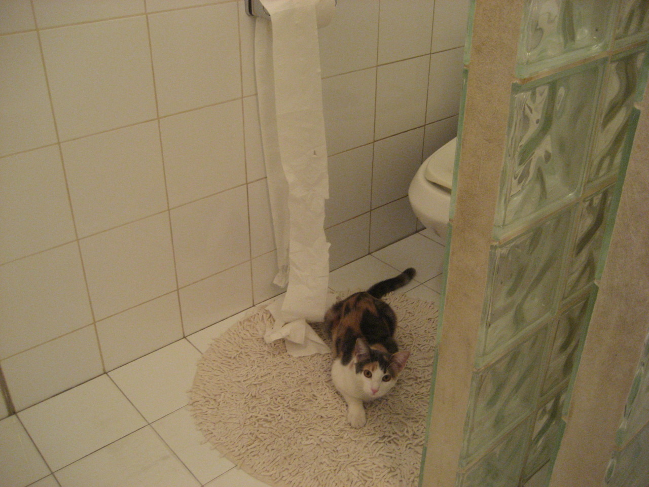 绿茵与篮球的破壁之夜,小贾伦·杰克逊如何照亮欧冠决赛