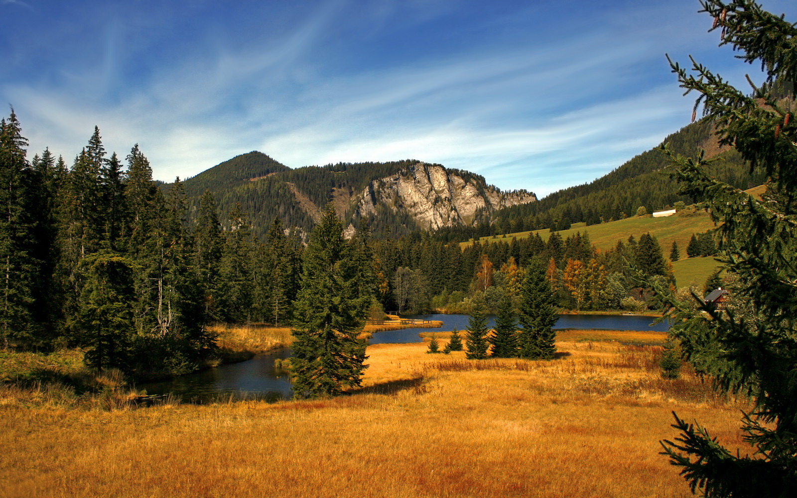 东方巨龙与西方魔法师,当东契奇点亮星空,辽宁铸就长城