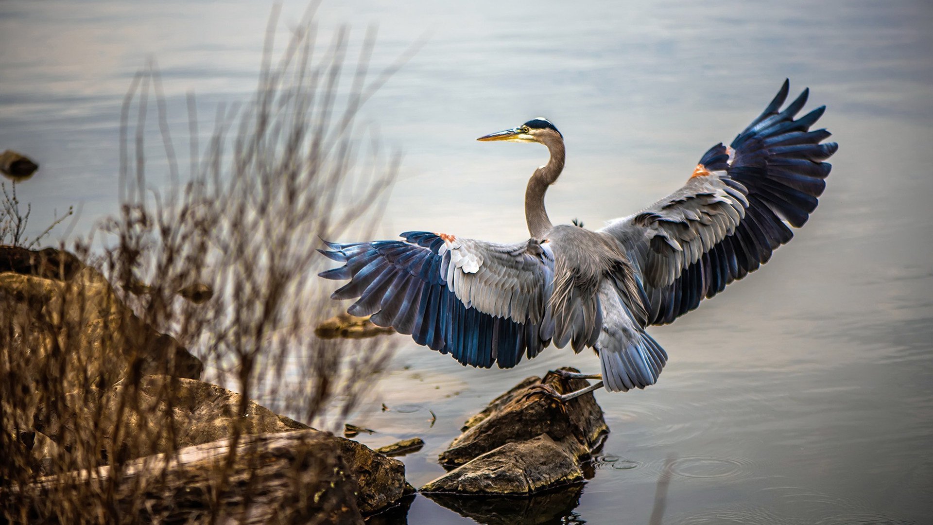阿根廷生死战的血性救赎,那个叫布雷默的男人,在蓝黑色的天空下刻下永恒