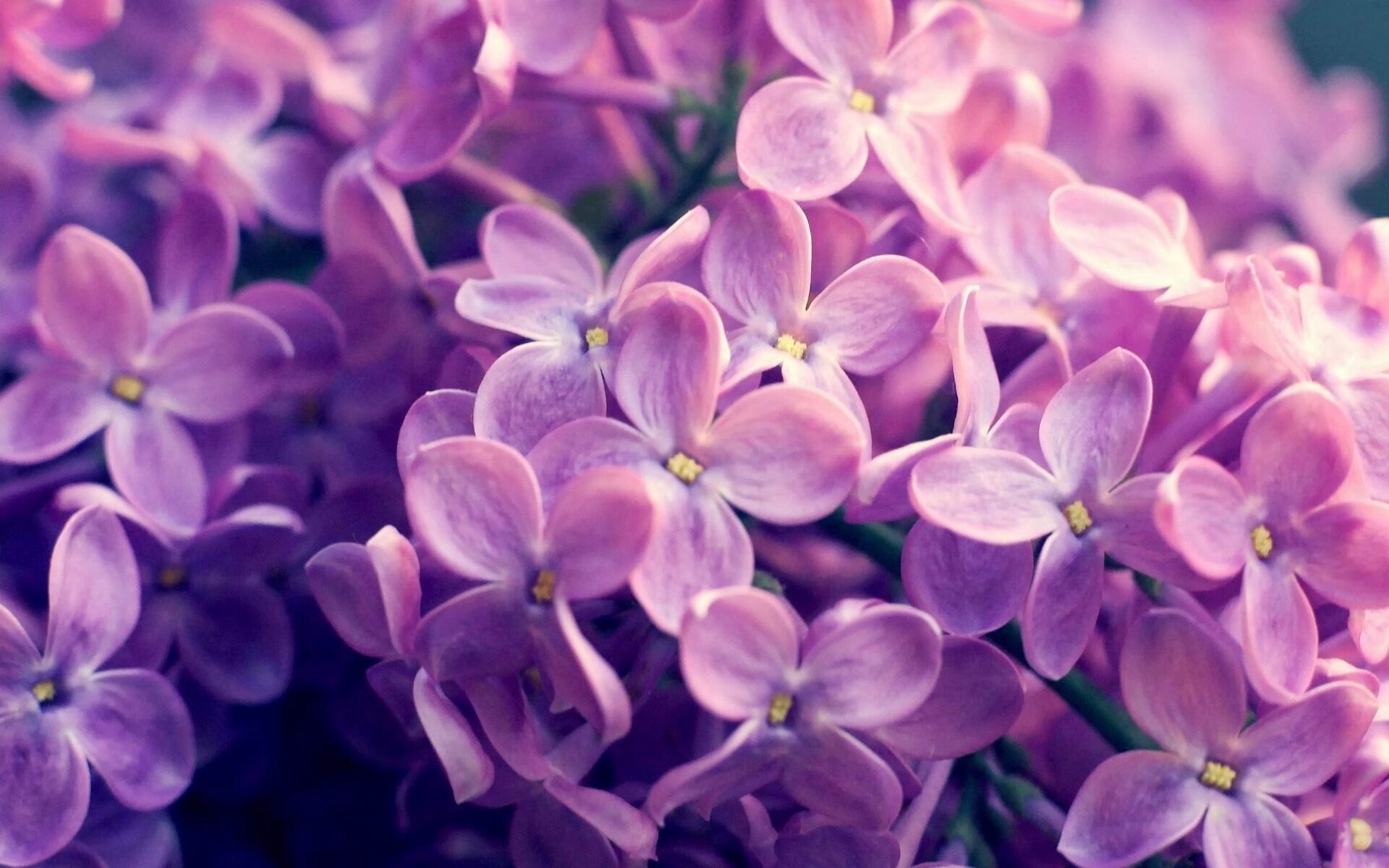 美加墨世界杯之夜,当冰川突进,金玟哉在沉默中重塑韩国足球的脊梁