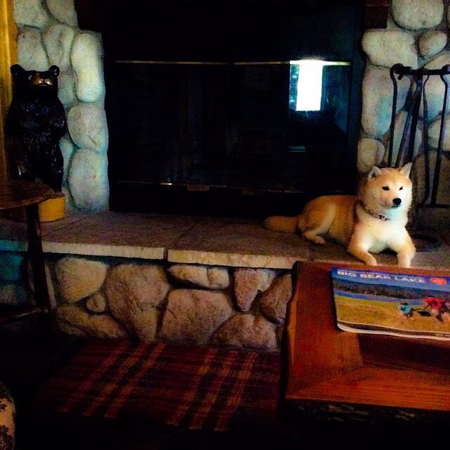 从圣城到世界之巅,马刺掀翻热火的教训与詹姆斯在美加墨篮球世界杯的统治传奇