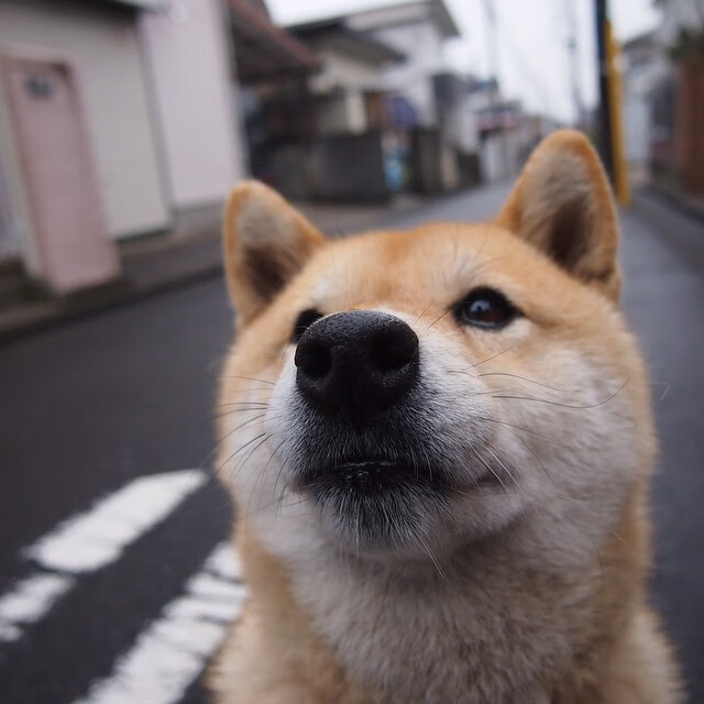 铁血防守铸就胜利,小贾伦末节统治攻防成关键先生