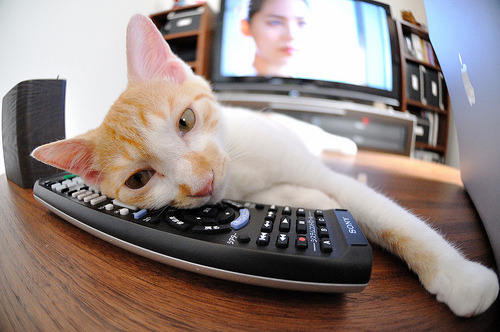 救赎之夜,奥斯梅恩破茧,皇马险胜雷恩