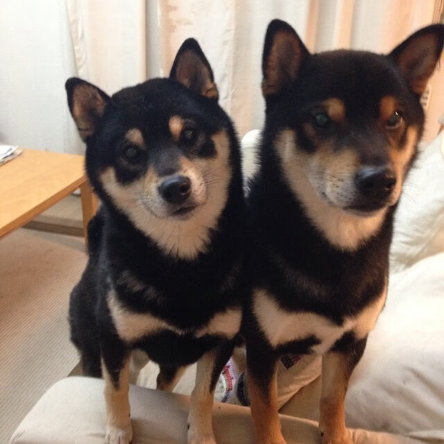 拉亚实力证名,塞维利亚德比掀翻贝蒂斯