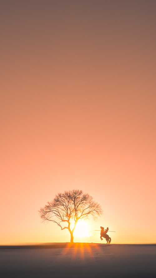 拉齐奥沙特之战提前终结悬念，帕尔默扛起全队谱写新篇